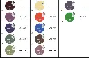 5.webp