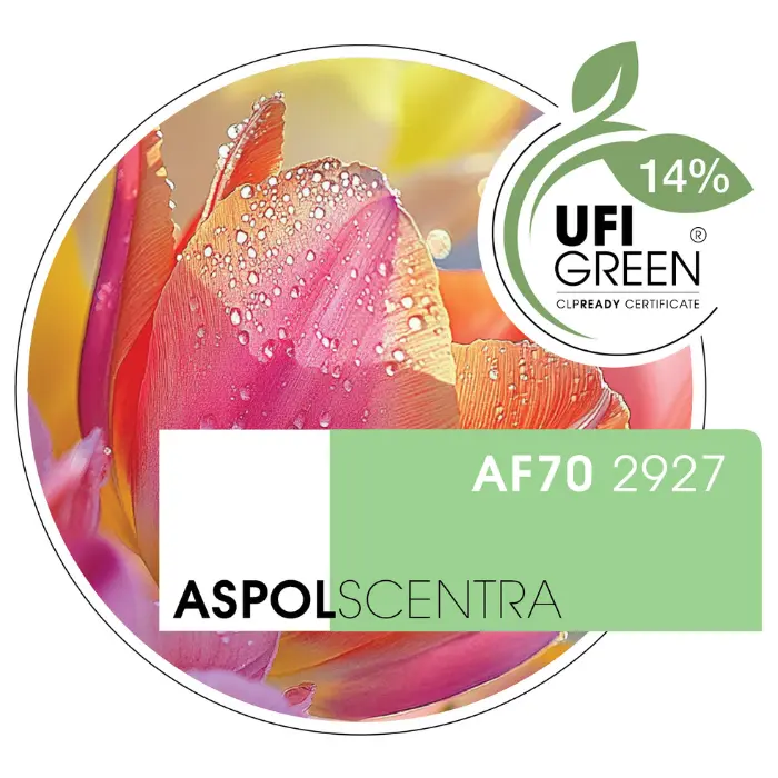 Tulip - AF70 2927.webp