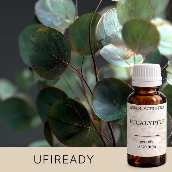 Eucalyptus