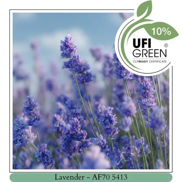 Lavender (20 ml)