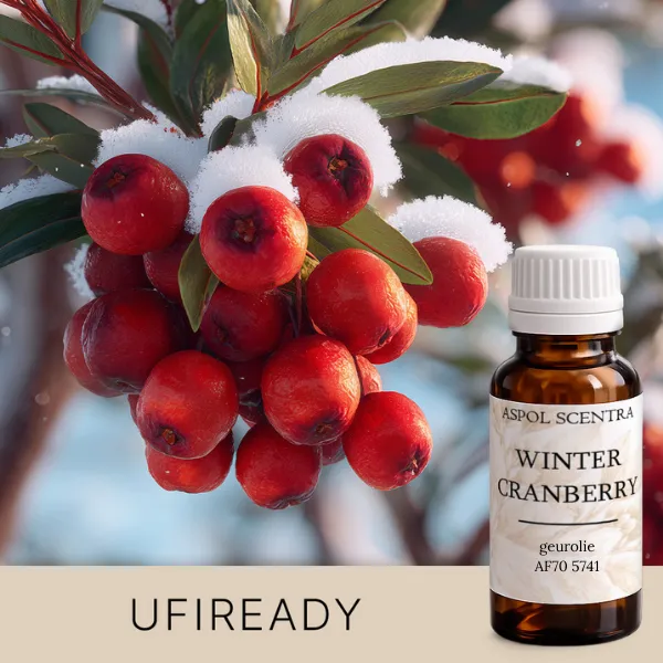 Winter Cranberry (20 ml)