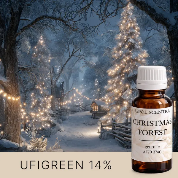 Christmas Forest (20 ml)