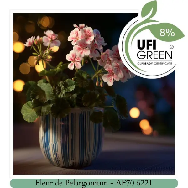 Fleur de Pelargonium