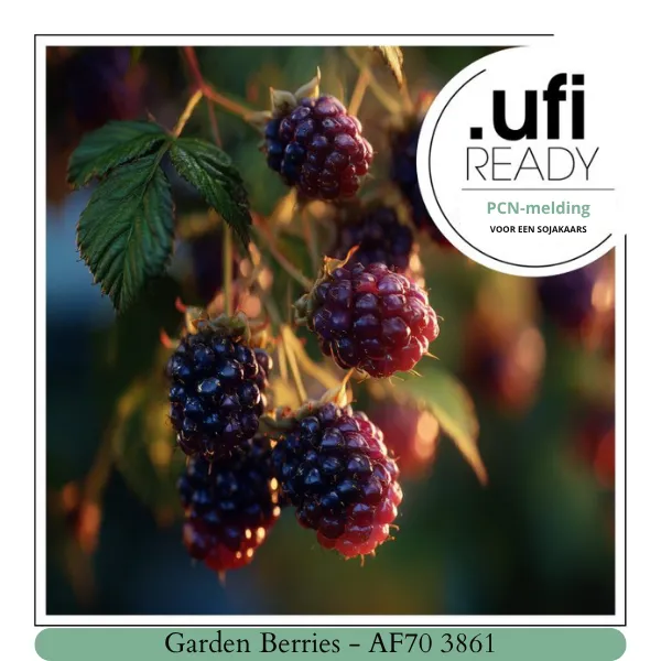 Garden Berries (20 ml)
