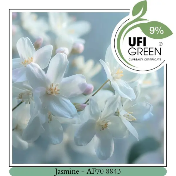Jasmine (20 ml)