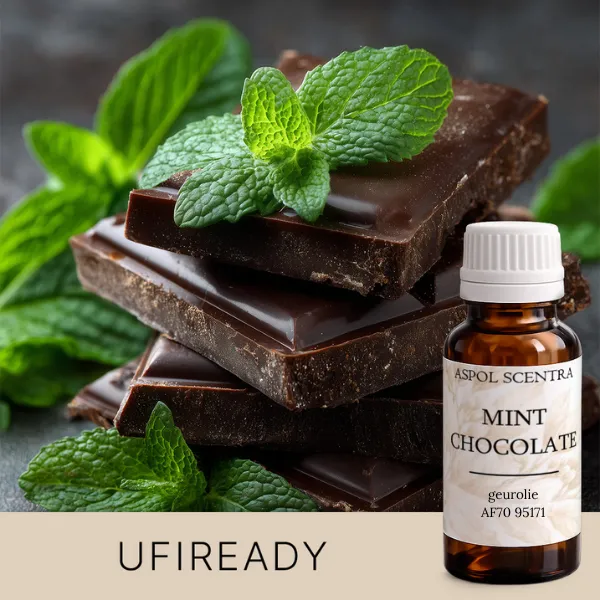 Mint Chocolate (20 ml)