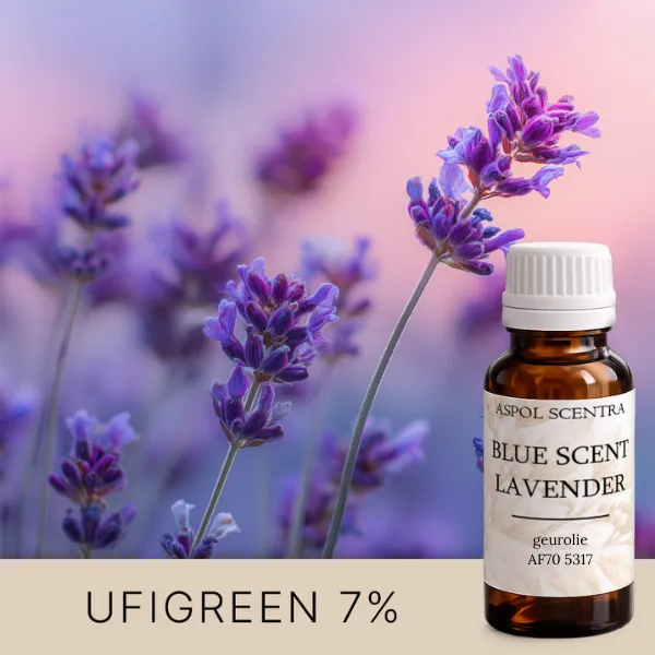 Blue Scent Lavender (20 ml)