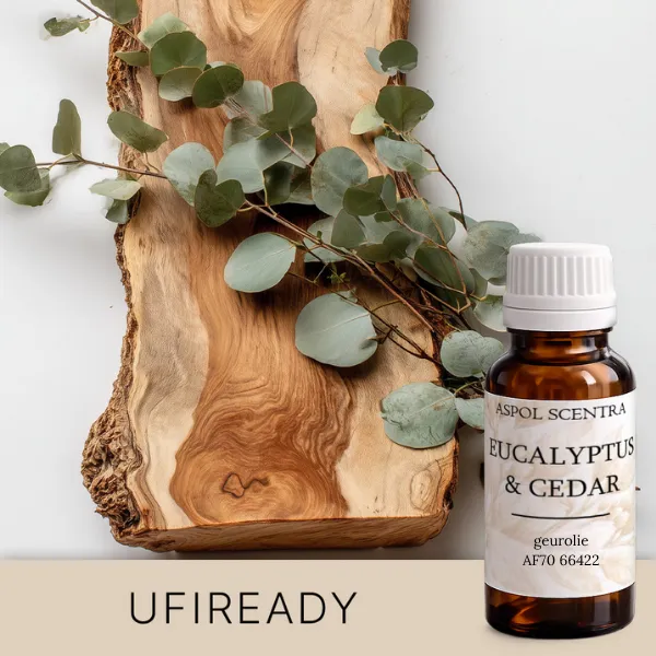 Eucalyptus & Cedar (20 ml)