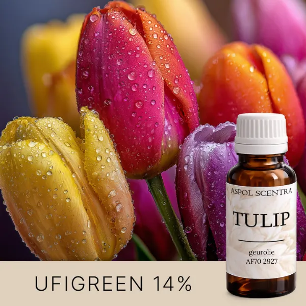 Tulip (20 ml)