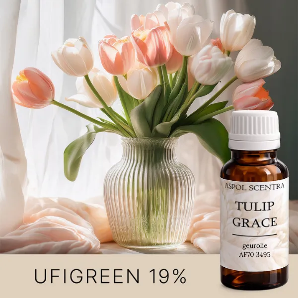 Tulip Grace (20 ml)