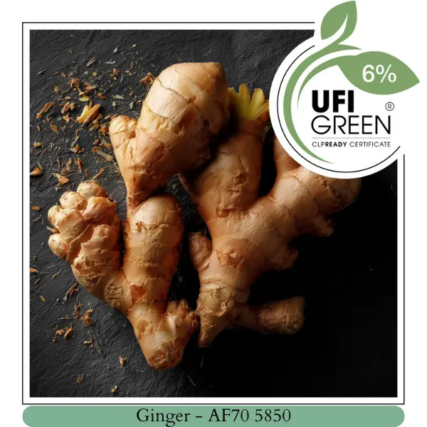 Ginger