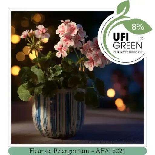 Fleur de Pelargonium