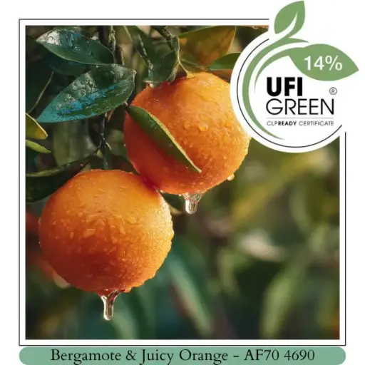 Bergamote & Juicy Orange