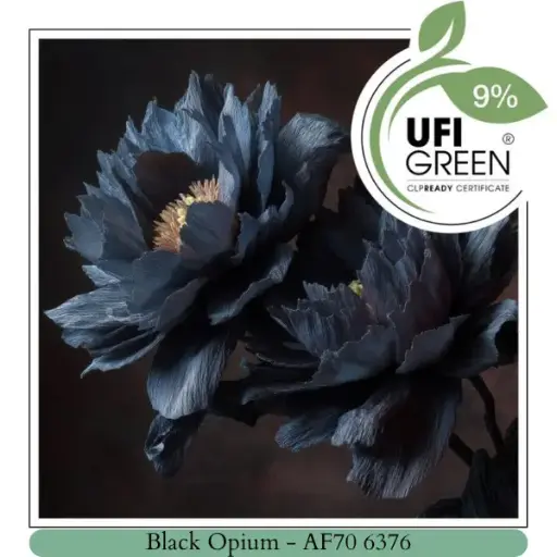 Black Opium